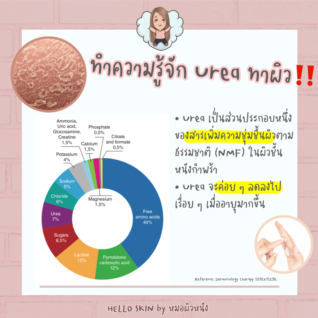 ยูเรียทาผิว urea cream
