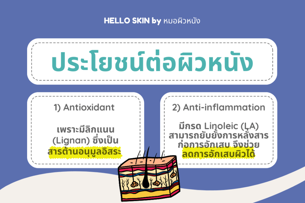 Protex Flaxseed oil แฟลกซ์ซีด ออยส์ ประโยชน์ต่อผิวหนัง