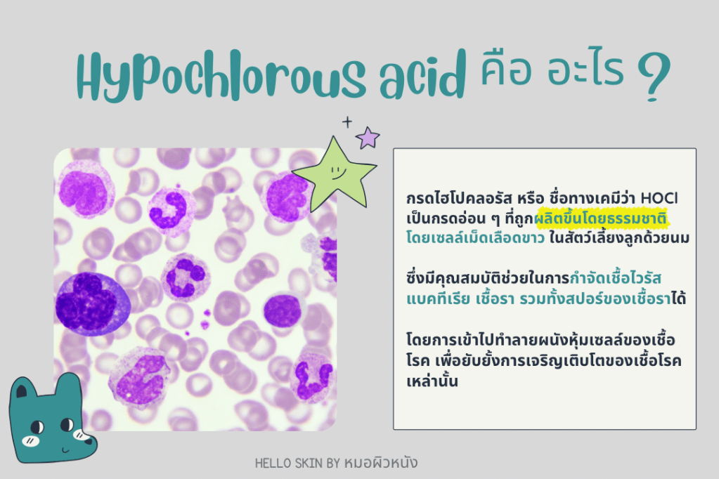 Hypochlorous Acid คือ อะไร​