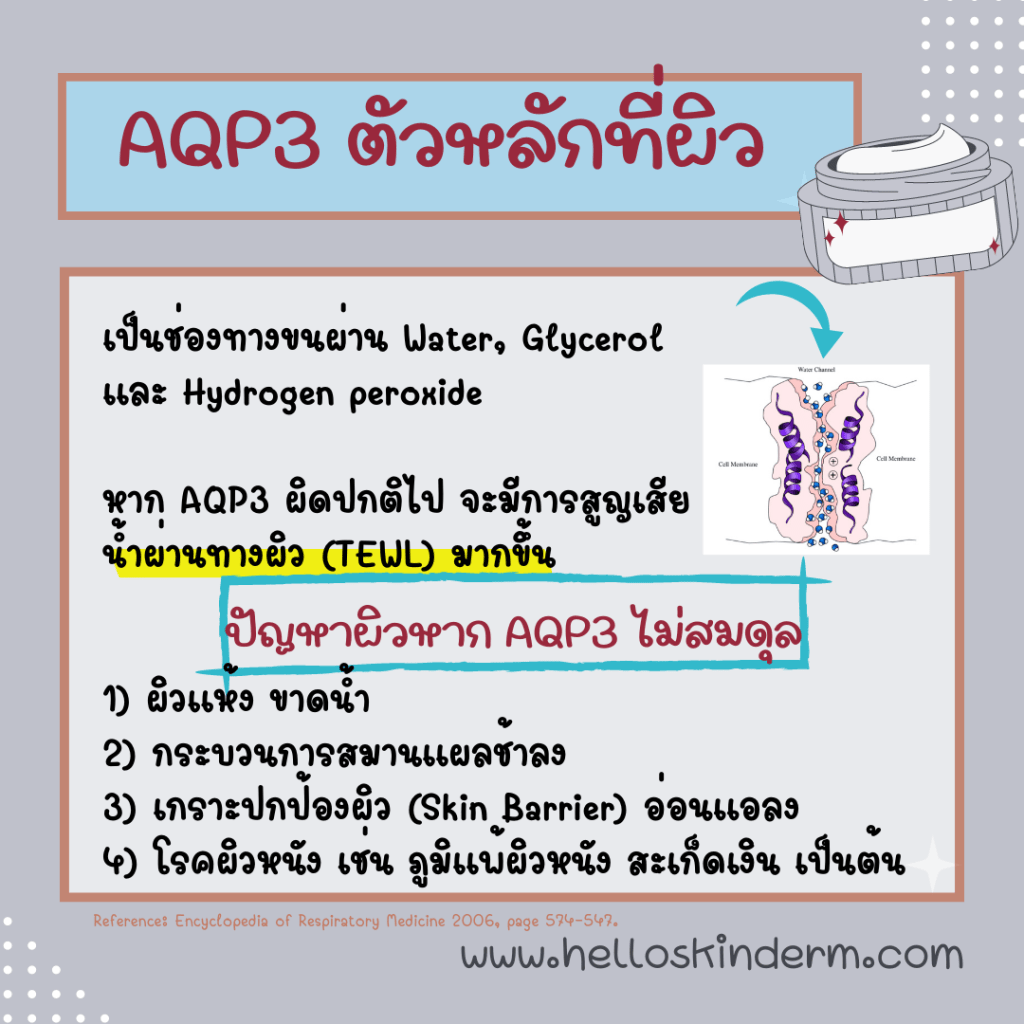 AQP3 ผิวหนังไม่สมดุล