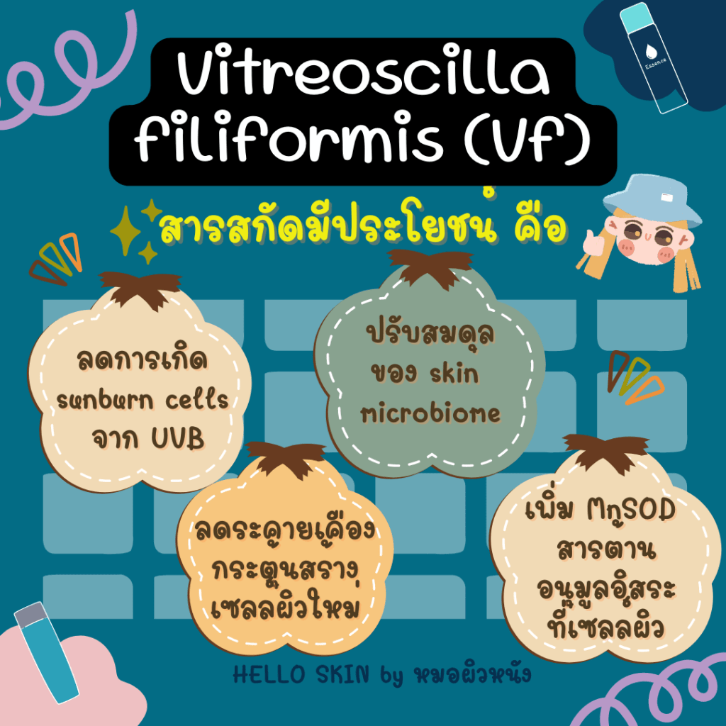 ประโยชน์ของสารสกัดจาก Vitreoscilla filiformis (Vf)