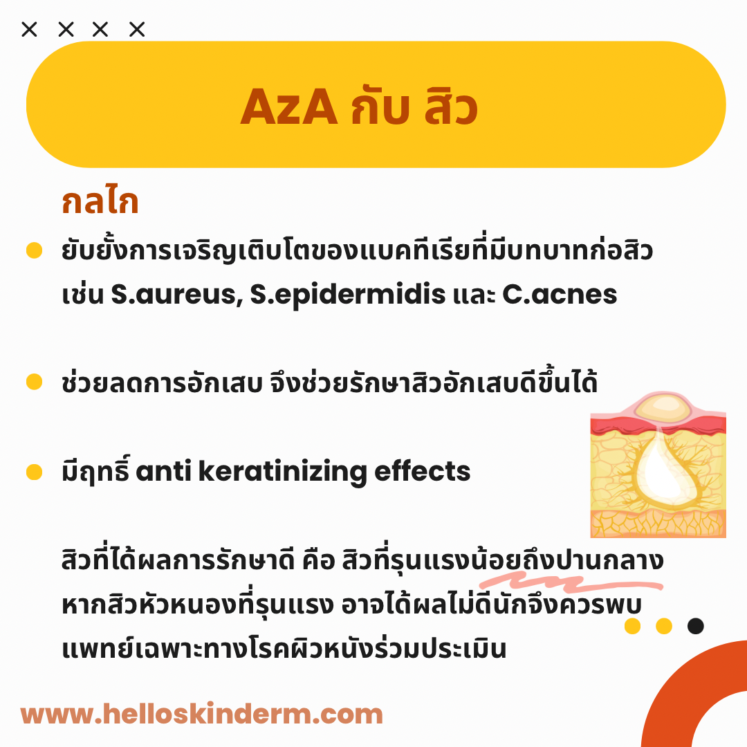 สรุปอัพเดทเรื่อง Azelaic acid กับ สิว ฝ้า กระ รอยดำ | HELLO SKIN by หมอ ...