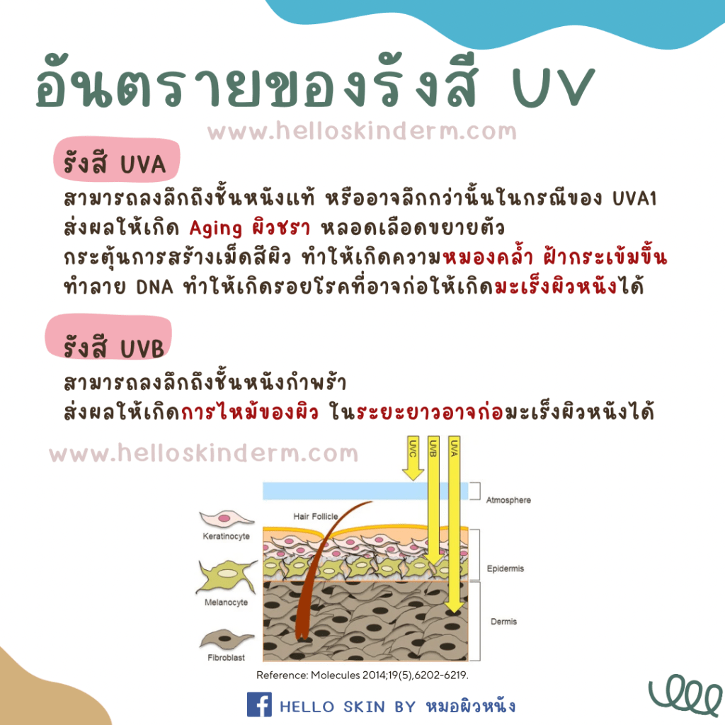 UV รังสียูวี